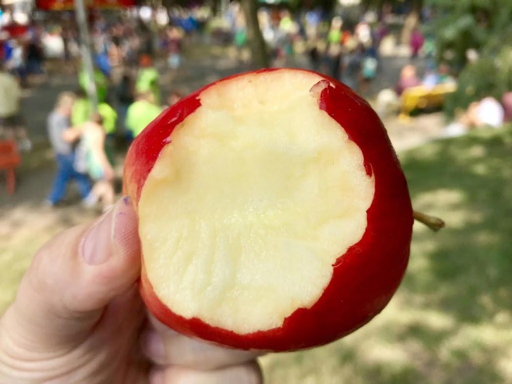 First Kiss Apples, Minnesota Apples, Agriculture Horticulture, $3. I'm ending my long day w/this perfect palate cleanser. It's a new Honeycrisp relation, and it hits all the right crisp-juicy-tart notes. Thanks, Pine Tree Orchard in White Bear Lake, for the thrilling preview. Photo by Rick Nelson New food at the Minnesota State Fair 2018