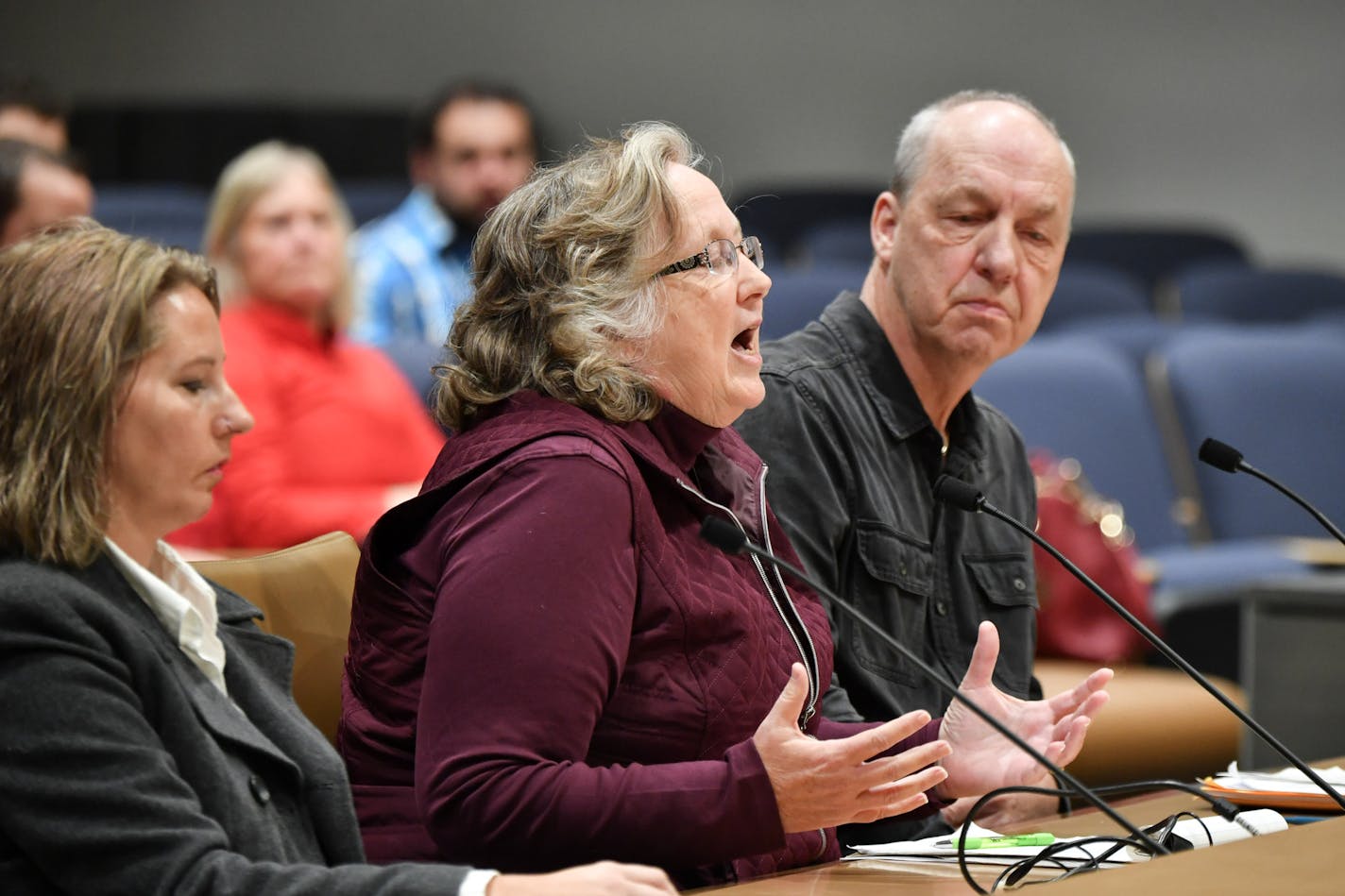 Kim Griffith, motor vehicle supervisor in Bloomington spoke to the committee about the problems with MNLARS. ] GLEN STUBBE &#x2022; glen.stubbe@startribune.com Wednesday, November 15, 2017 The Minnesota Senate holds a hearing on the problems persisting with the state's rollout of a new system for vehicle licensing (MNLARS) -- four months in, there are still long lines, backlogs and persistent problems across the state. Expecting testimony from customers, licensing office operators and others, an