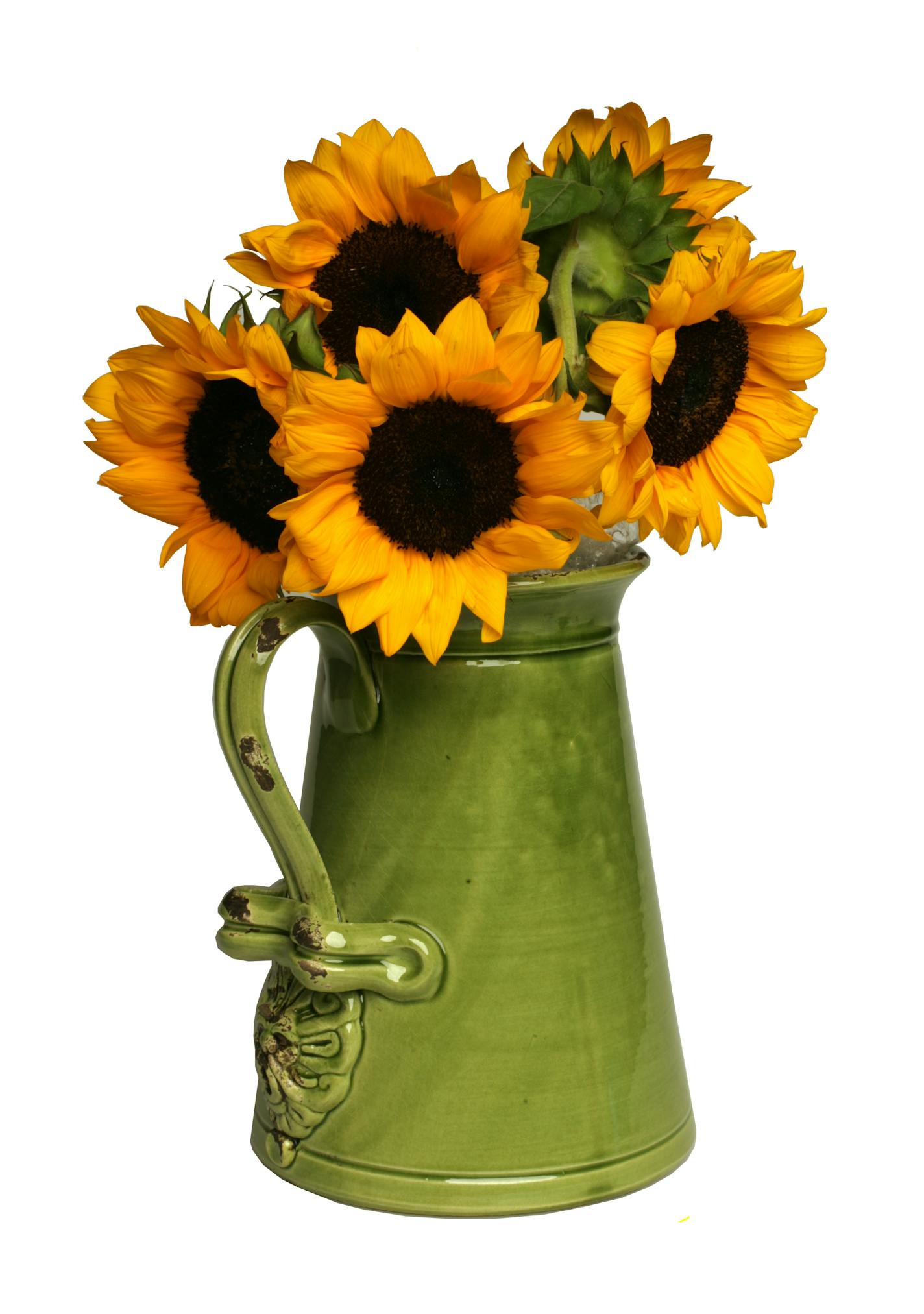 Wild Olive ceramic pitcher, $140. Handcrafted in Tuscany.