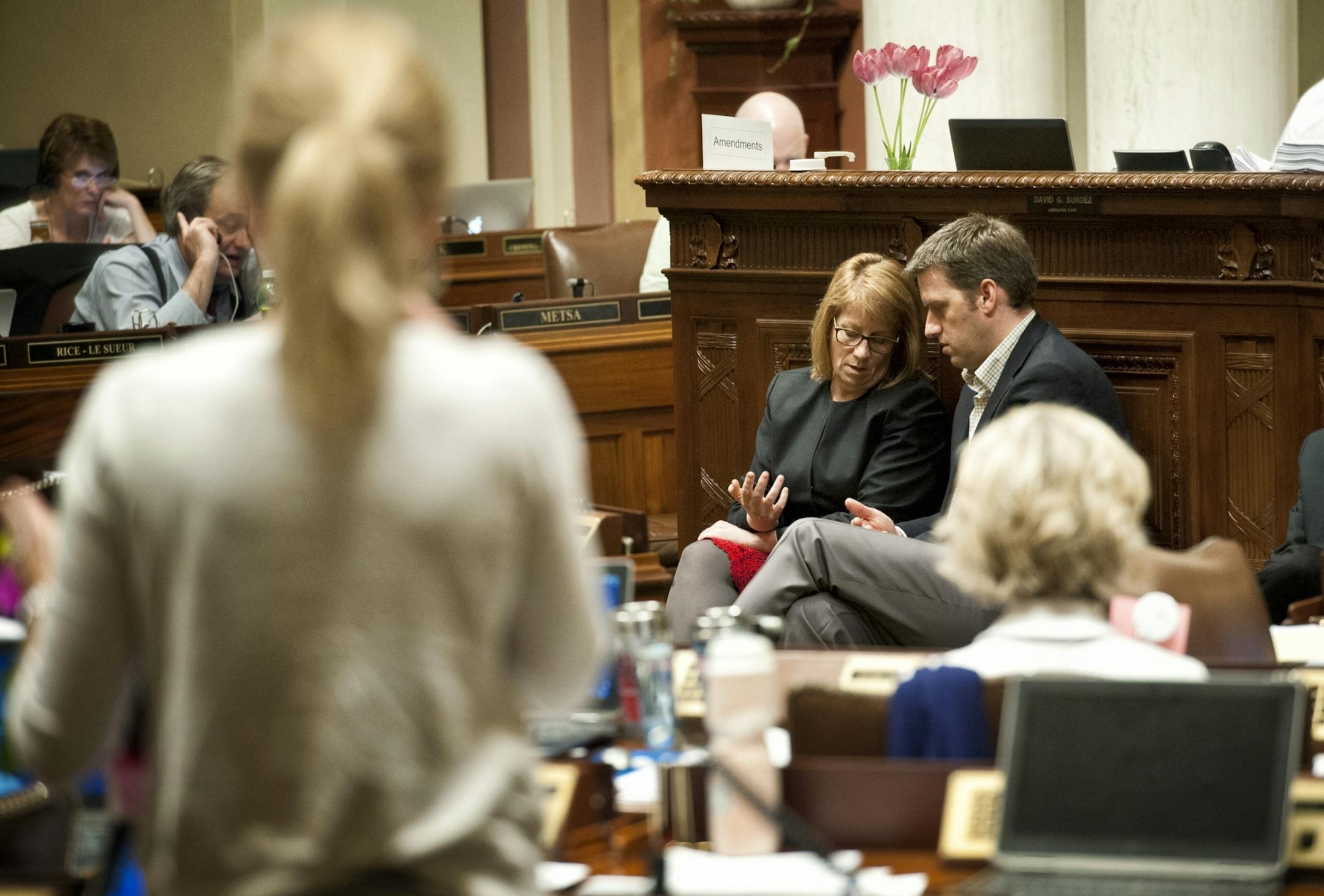 DFL Majority Leader Erin Murphy had a private conversation with GOP Minority Leader Kurt Daudt during Sunday's debate over the daycare unionization bill.