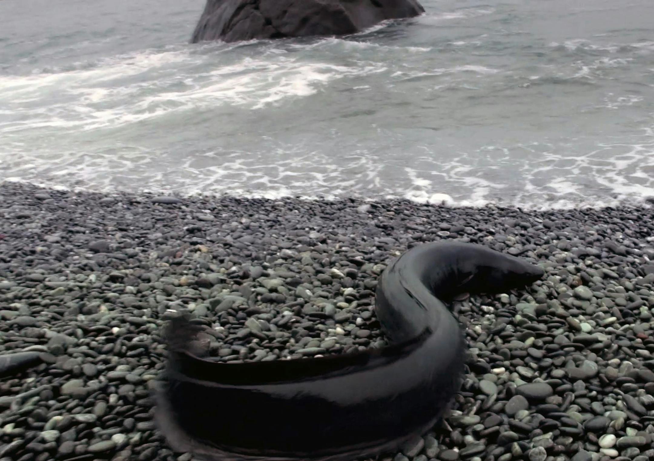 Migrating eels finding a way over gravel in New Zealand, in "The Mystery of Eels"