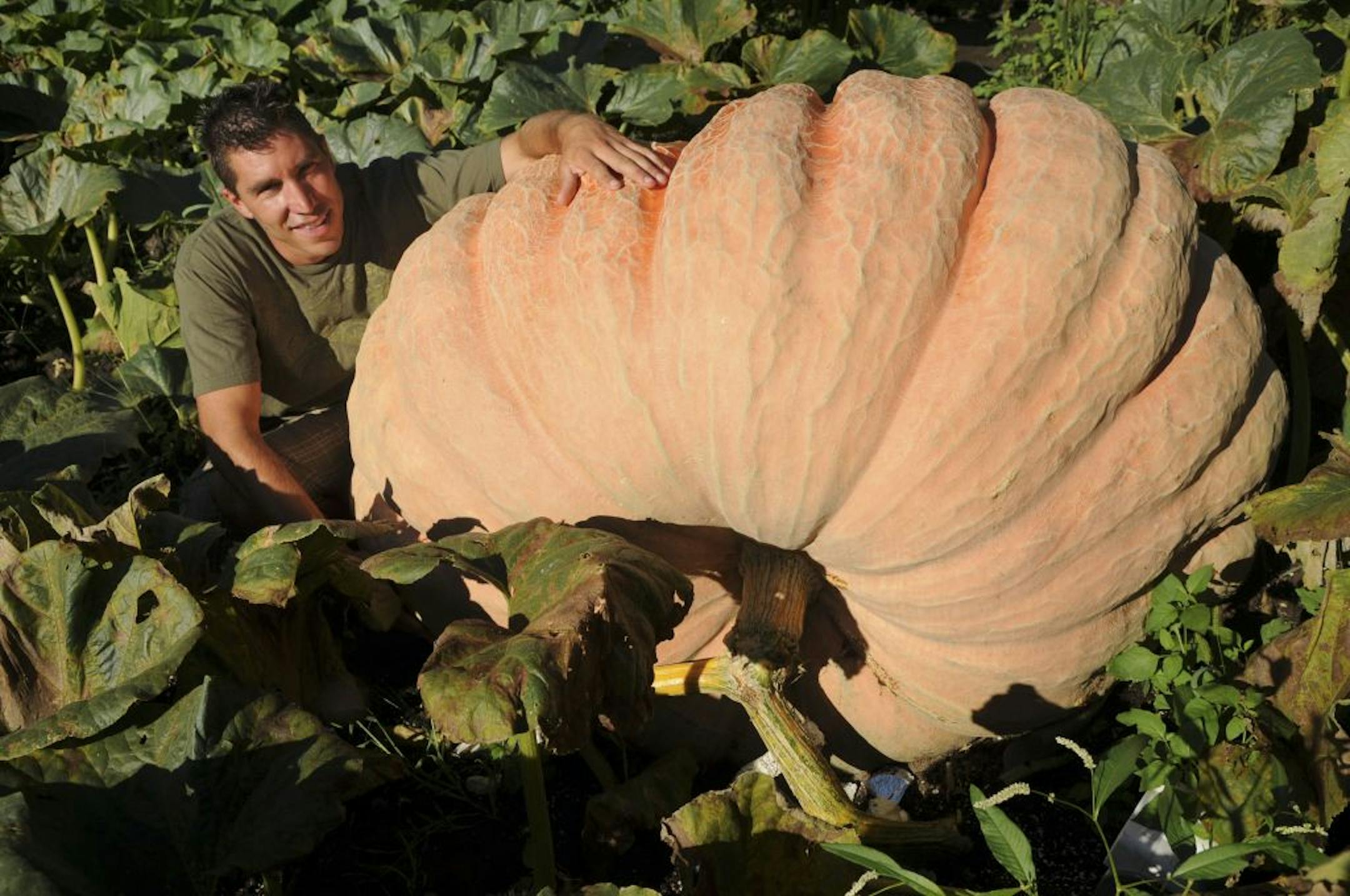 Travis Gienger is growing a giant pumpkin