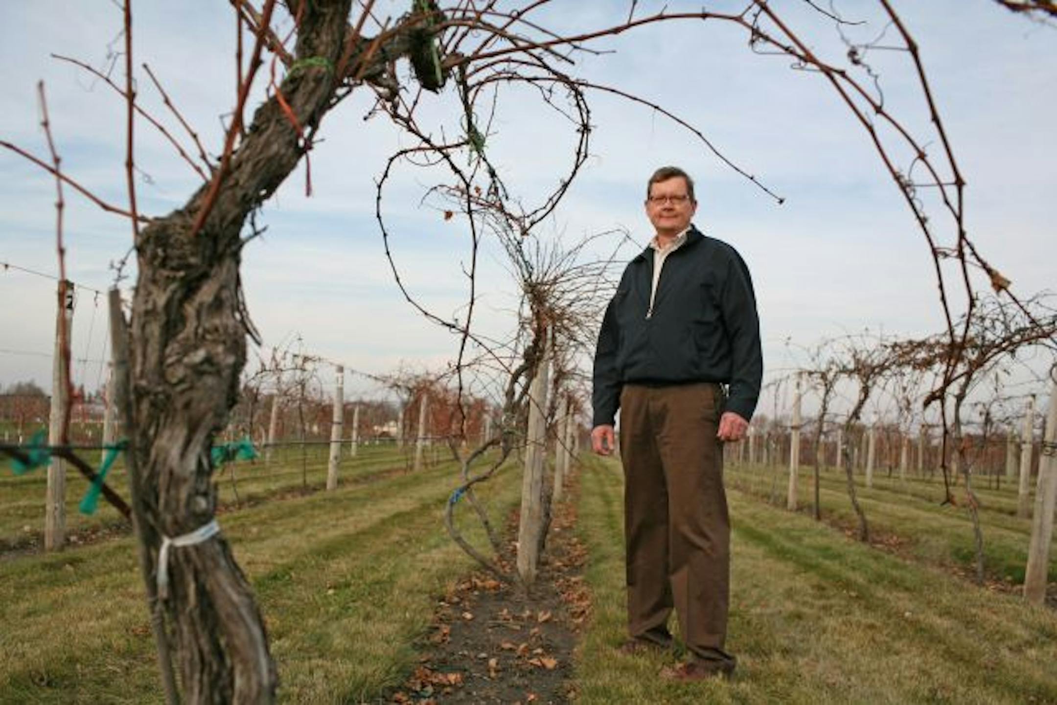 Peter Moe, arboretum operations manager, said the grapevines that were stolen from the U of M test fields were "one of a kind."