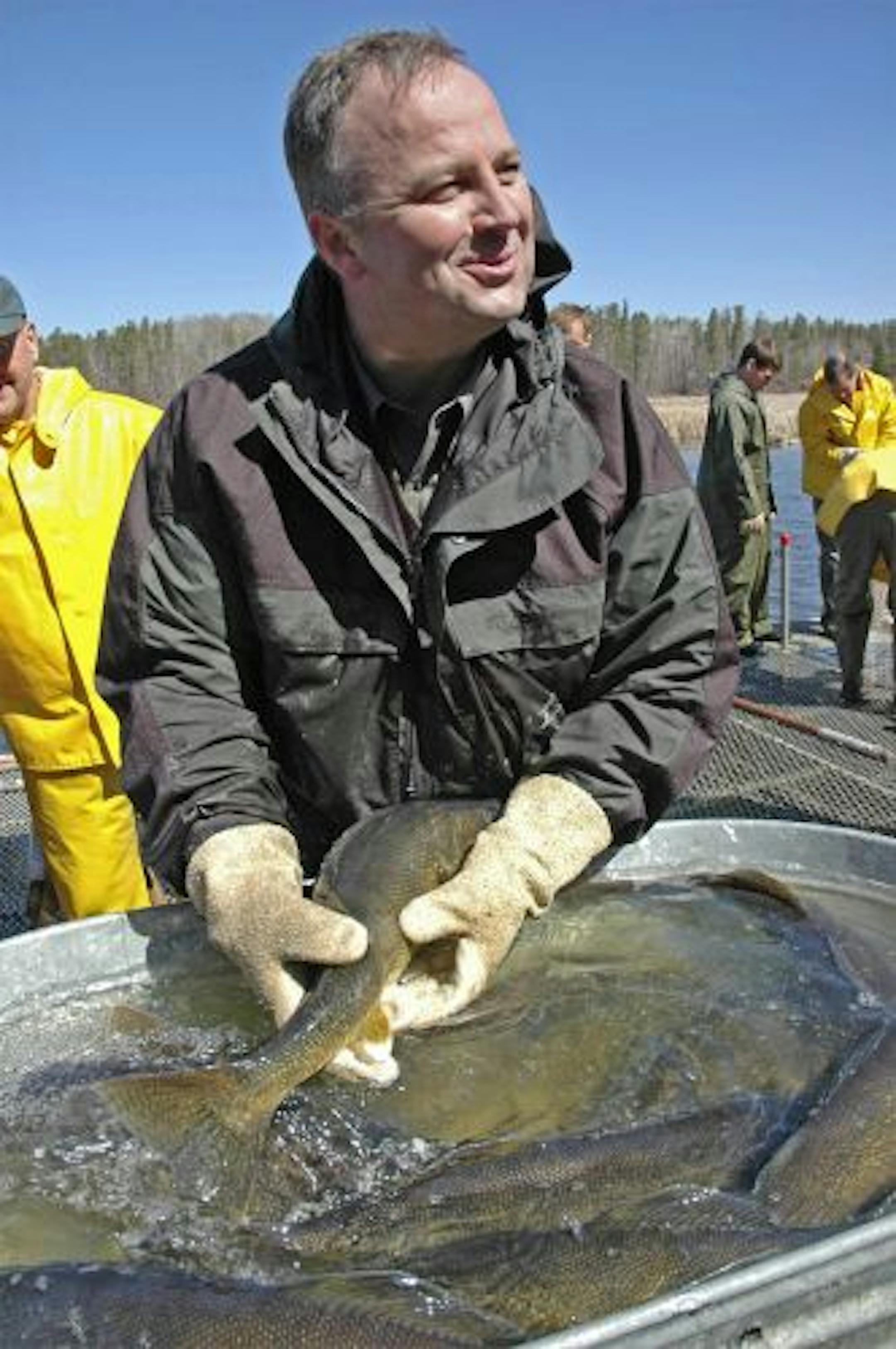 DNR Commissioner Mark Holsten with a Pine River walleye,where technicians took eggs for walleye stocking.