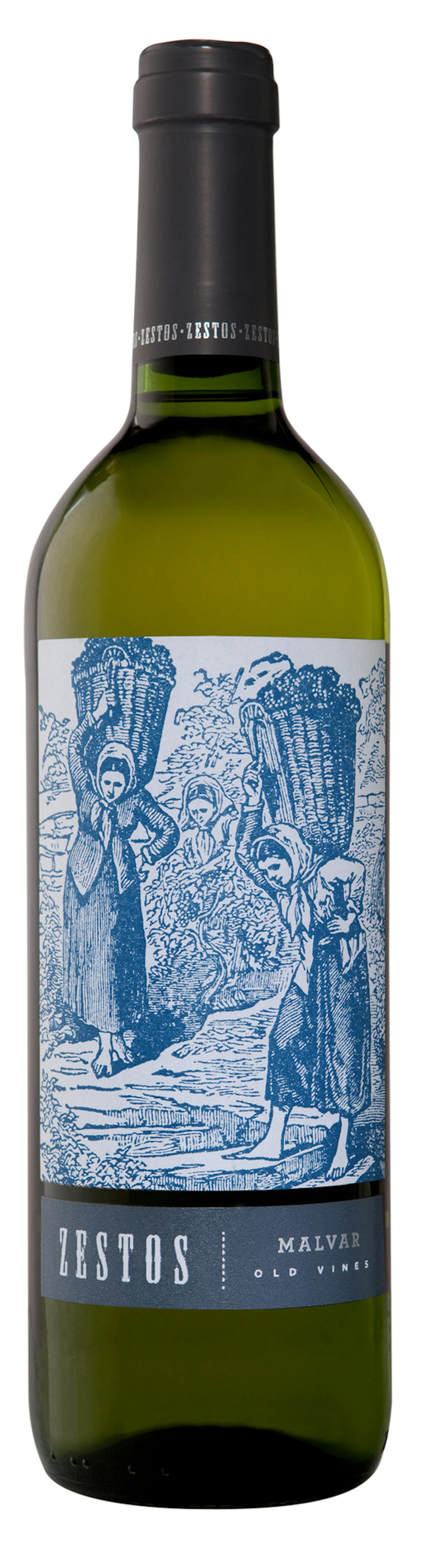 Zestos Malvar for wine062713
