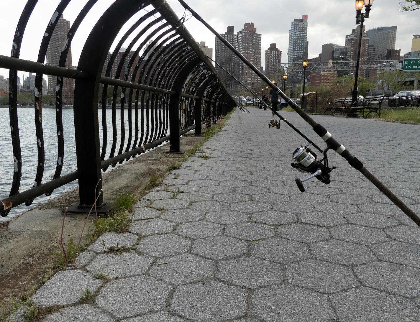 Poles at the ready along the an East River walkway in Manhattan.