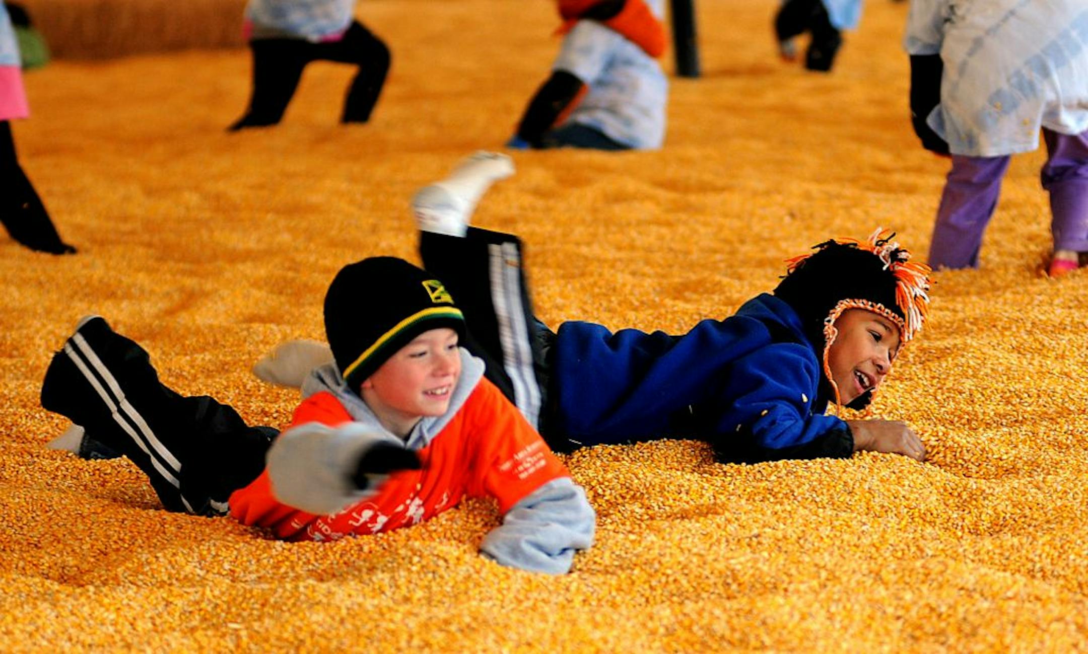 Sever's Corn Maze has become an ever-more-popular attraction of the harvest season in the south metro, and in its 16th year, it continues to grow. In addition to the corn maze itself, the organizers have added attractions such as Tire Mountain, Pumpkin Blasters and Goat World. Tucker Segraves, 9 years old from Maple Grove and Josiah Tusler, 9 years old also from Maple Grove swam swam in a corn pit of 10,000 bushels of corn