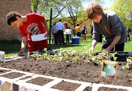 credit: Robbinsdale Area Schools Anthony Sargent, left, and Evan Axell, seventh-graders at Robbinsdale MiddleSchool, worked on the kale sprouts at one