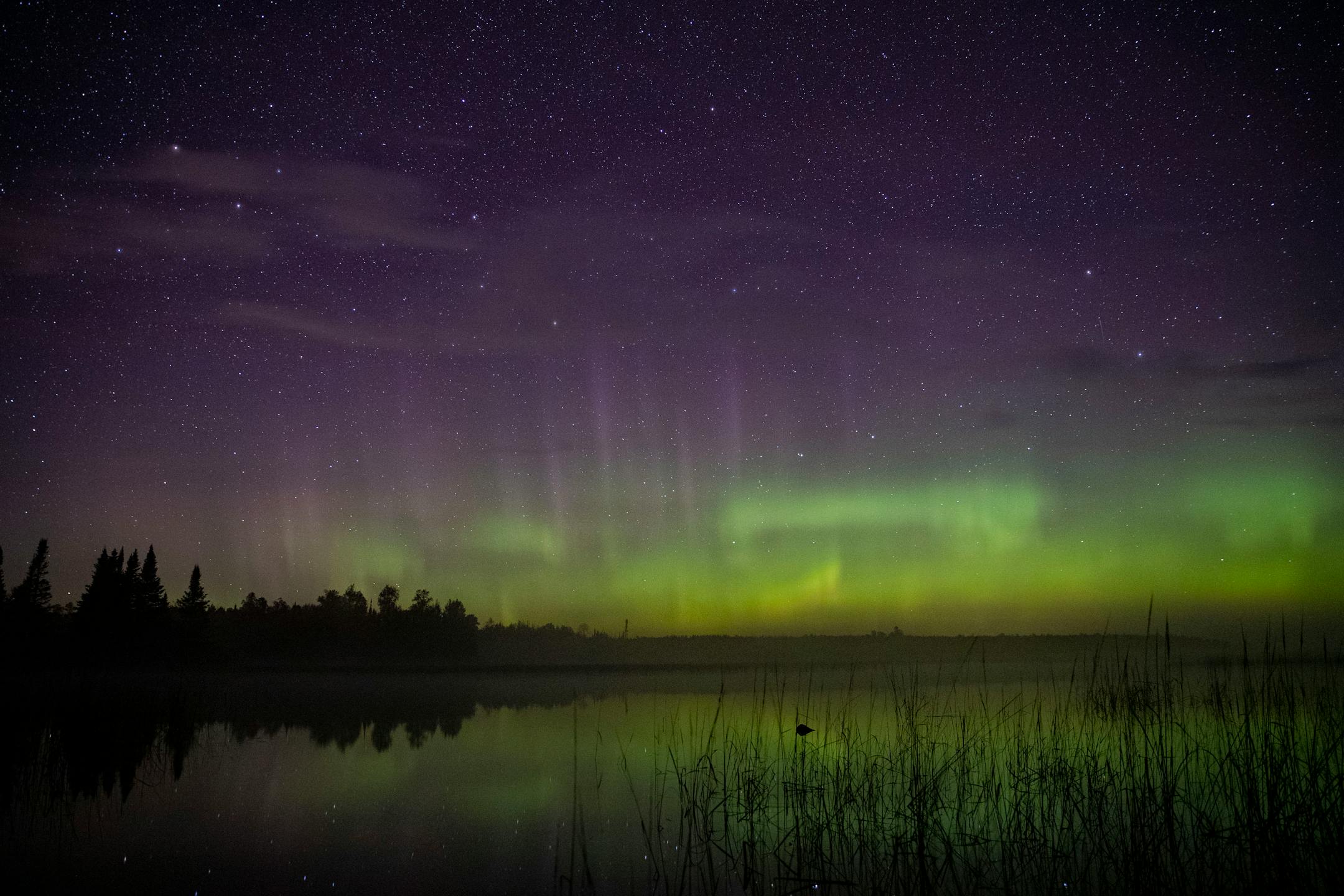 The aurora borealis could be seen on the North horizon in the night sky over Wolf Lake in the Cloquet State Forest in 2019.