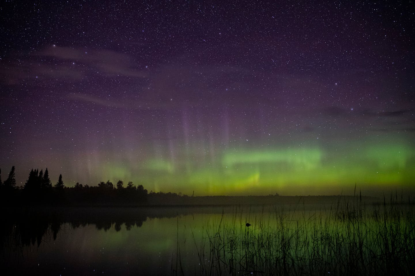 The aurora borealis could be seen on the North horizon in the night sky over Wolf Lake in the Cloquet State Forest in 2019.