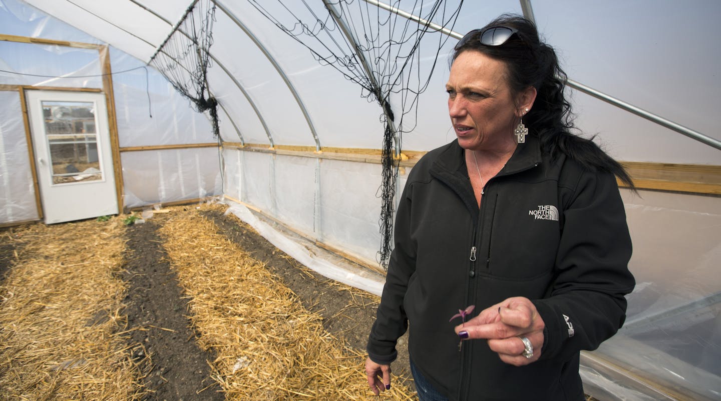 Arlene Jones is a grower and executive director of Sprout, a non-profit food hub founded in 2012. Last year Sprout purchased more than 100,000 pounds of produce from 47 local farmers and re-sold it to hospitals, school districts, reassurance and other institutions in the region near Brainerd. The increasing consumer interest in locally-grown foods has caused food hubs to pop up in half a dozen communities in Minnesota. ] Brainerd, MN - 4/13/2015