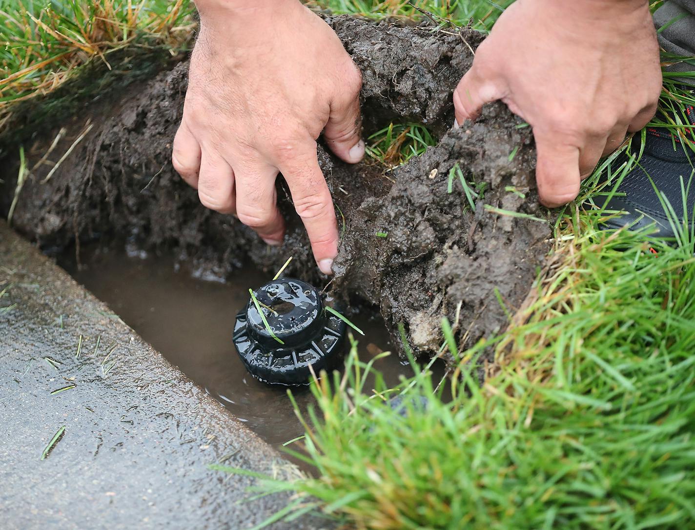 Jonah Reyes, a research scientist at the University of Minnesota, analyzes the lawn and irrigation system in the lawn, Friday, August 19, 2016 in Rosemount, MN. Compared to the winter months, water use in the metro area surges over the summer, doubling in some places in the last 20 years. The Met Council and U of M Extension suspect bad lawn-watering habits are largely to blame. They've been conducting surveys and visiting neighborhoods over the last few months, studying sprinkler systems and tr