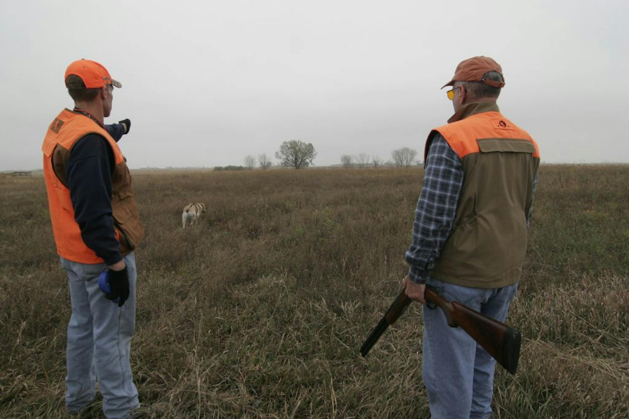 Guide Nick Simonson of Marshall points to public hunting land that he and Gov. Mark Dayton hunted during the pheasant opener in October 2012. Simonson's Lab, Gunnar, was sniffing for scent.