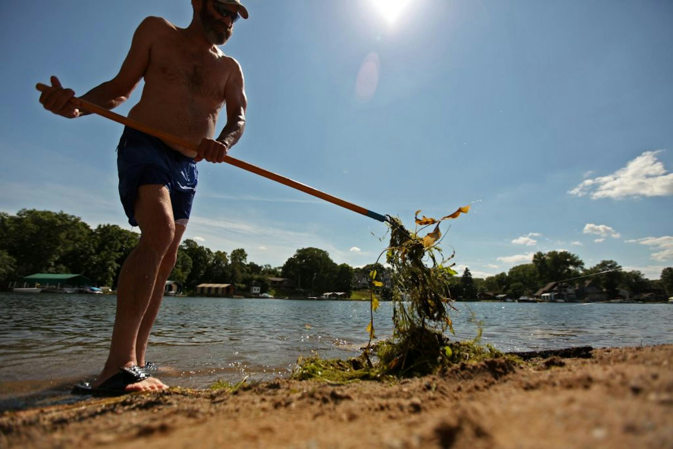 Kenneth Nuppnau of Coon Rapids raked a path through weeds in Wayzata Bay on Lake Minnetonka before fishing last week. Zebra mussels create conditions that foster weed growth.