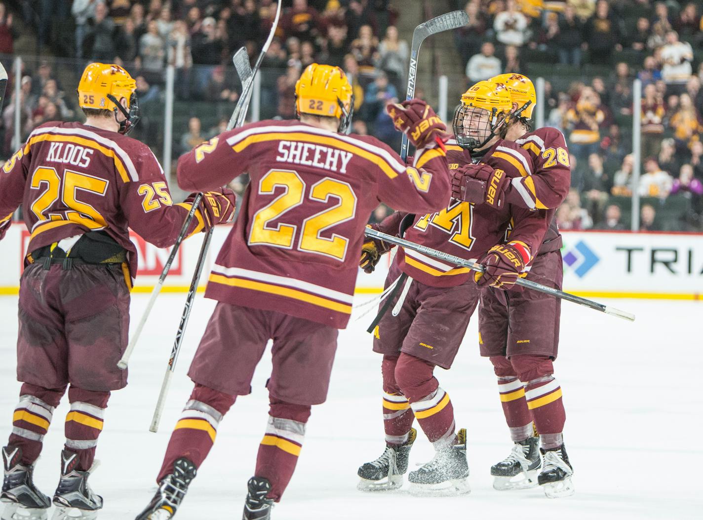 Minnesota Gophers forward Brent Gates Jr. (10) is swarmed by teammates Jake Bischoff (28), Tyler Sheehy (22) and Justin Kloos (25) after scoring a goal in January.