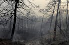 Wildfires leave their mark on the Greek village of Limni. Associated Press