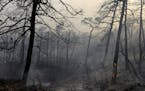 Wildfires leave their mark on the Greek village of Limni. Associated Press