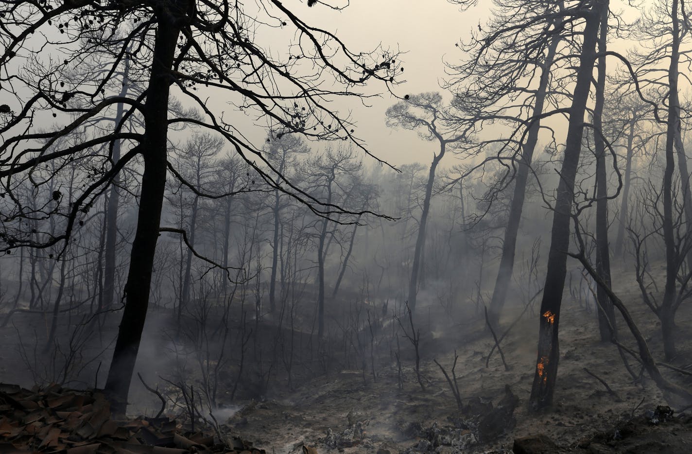 Wildfires leave their mark on the Greek village of Limni. Associated Press