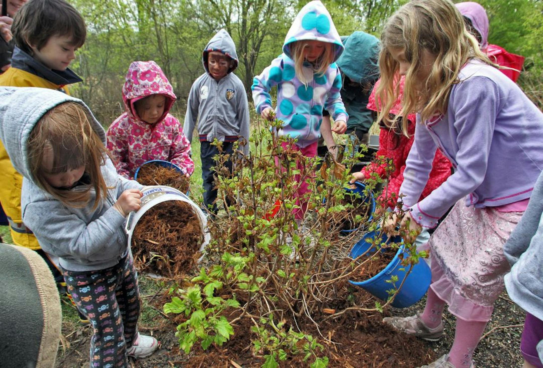 Earth Day was celebrated at Harriet Alexander Nature Center in Roseville with crafts, games and tree planting included in the festivities. The outdoors Earth Day parade was cancelled due to rainfall. Children dressed up as characters of nature and helped plant, water and mulch a vibernum bush in the back of the nature center.(MARLIN LEVISON/STARTRIBUNE(mlevison@startribune.com