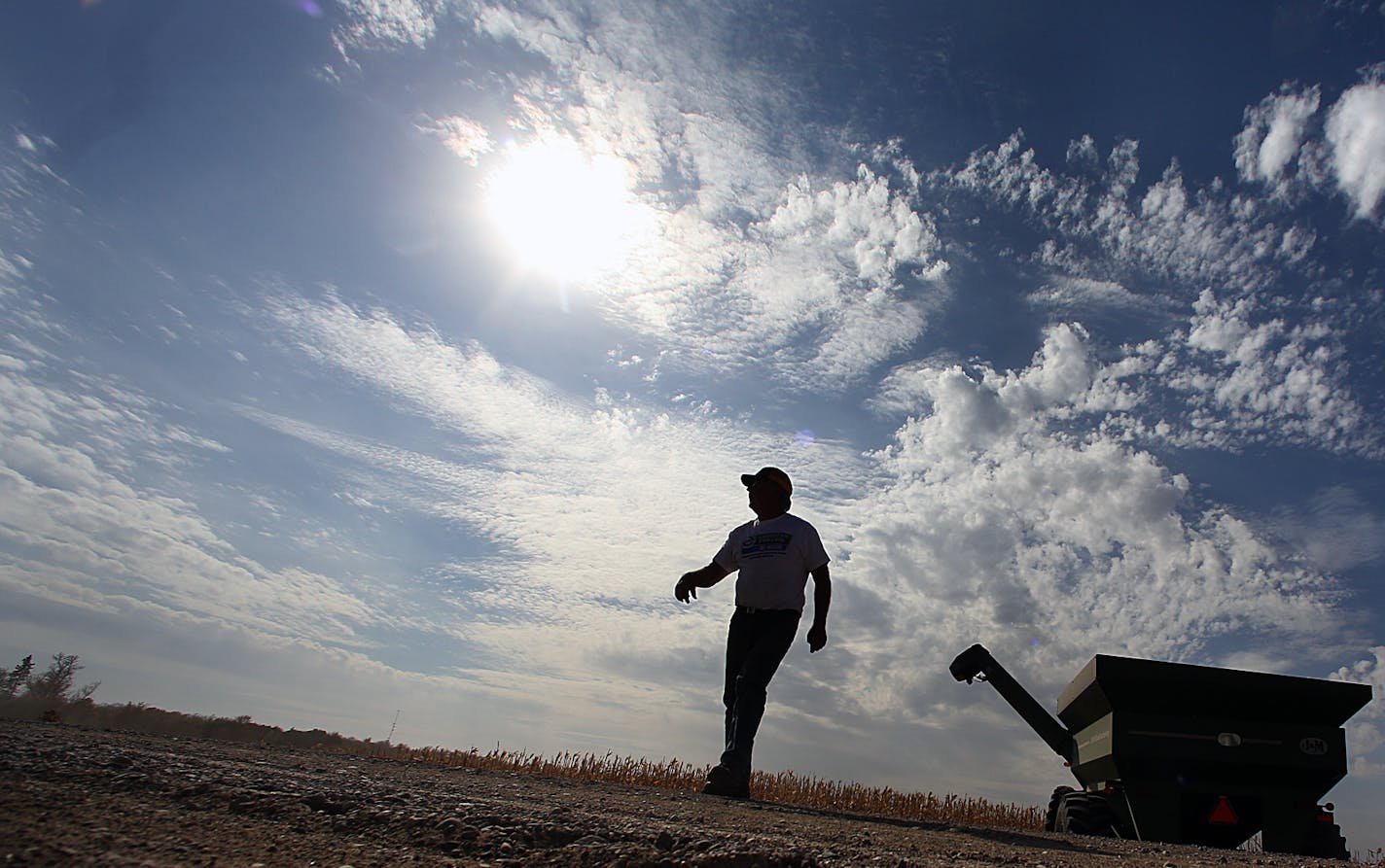 Oct. 3, 2012: Tom Haag checked on equipment used to haul corn after he had emptied a wagon load of the grain into a semi-trialer.