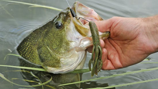 How to Catch a Bass on a Jig - Bass Fishing 