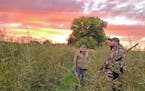 Tom Larson, left, and Matt Slater await a flight of ducks while hunting northwest of Willmar on Saturday, opening day of tbe 2021 Minnesota watrerfowl