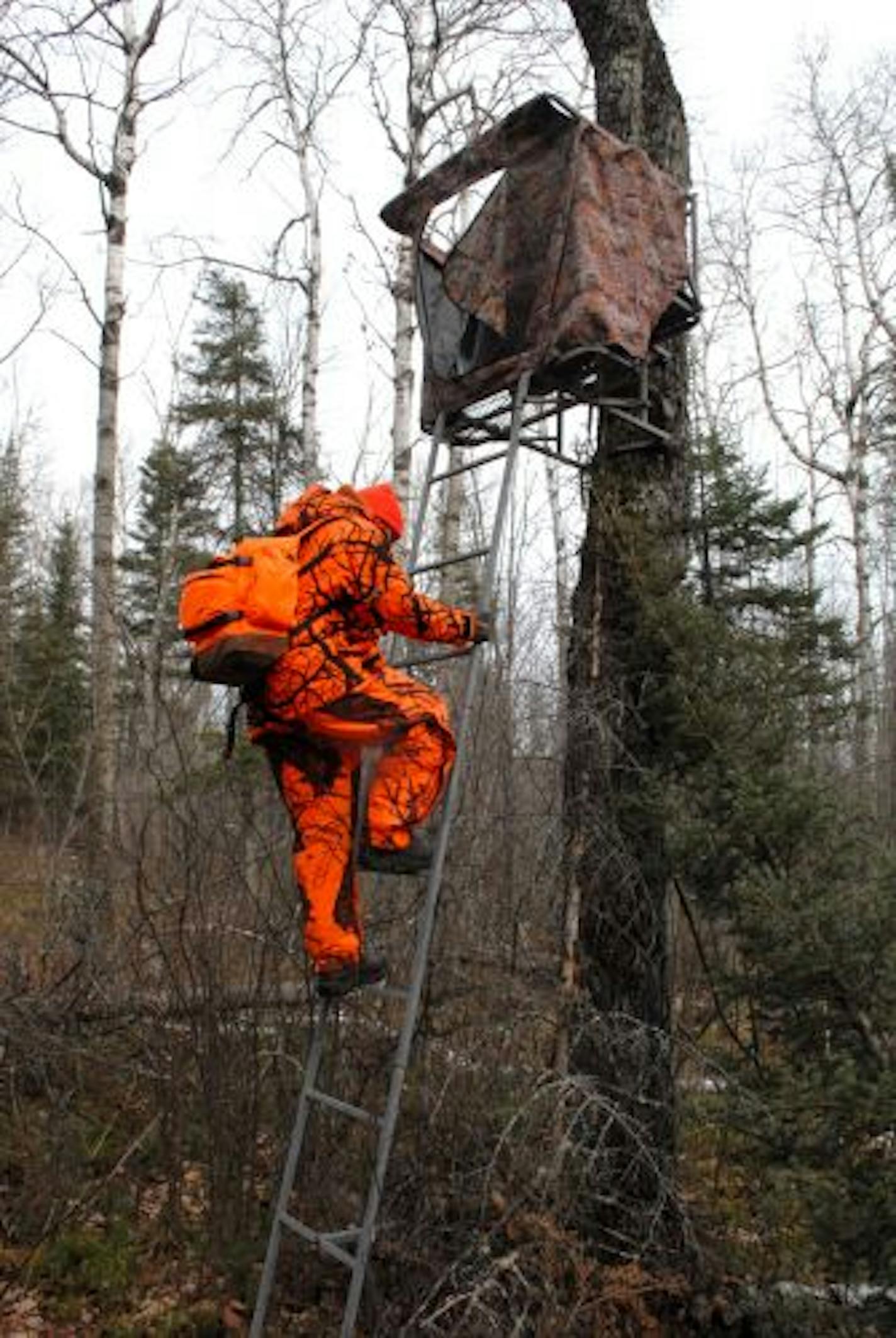 Brian Anderson of Champlin climbs his tree stand in the woods near Cook, Minn., on Saturday, first day of the Minnesota 2010 firearms deer season. The weather was pleasant for early November, but Saturday morning's action generally slow for the six hunters in Anderson's group.