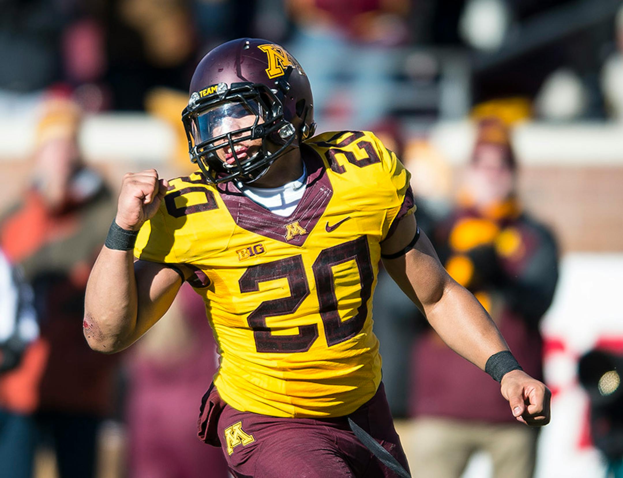 Minnesota Golden Gophers linebacker Julian Huff (20) celebrated after sacking Illinois Fighting Illini quarterback Wes Lunt (12) in the second quarter.