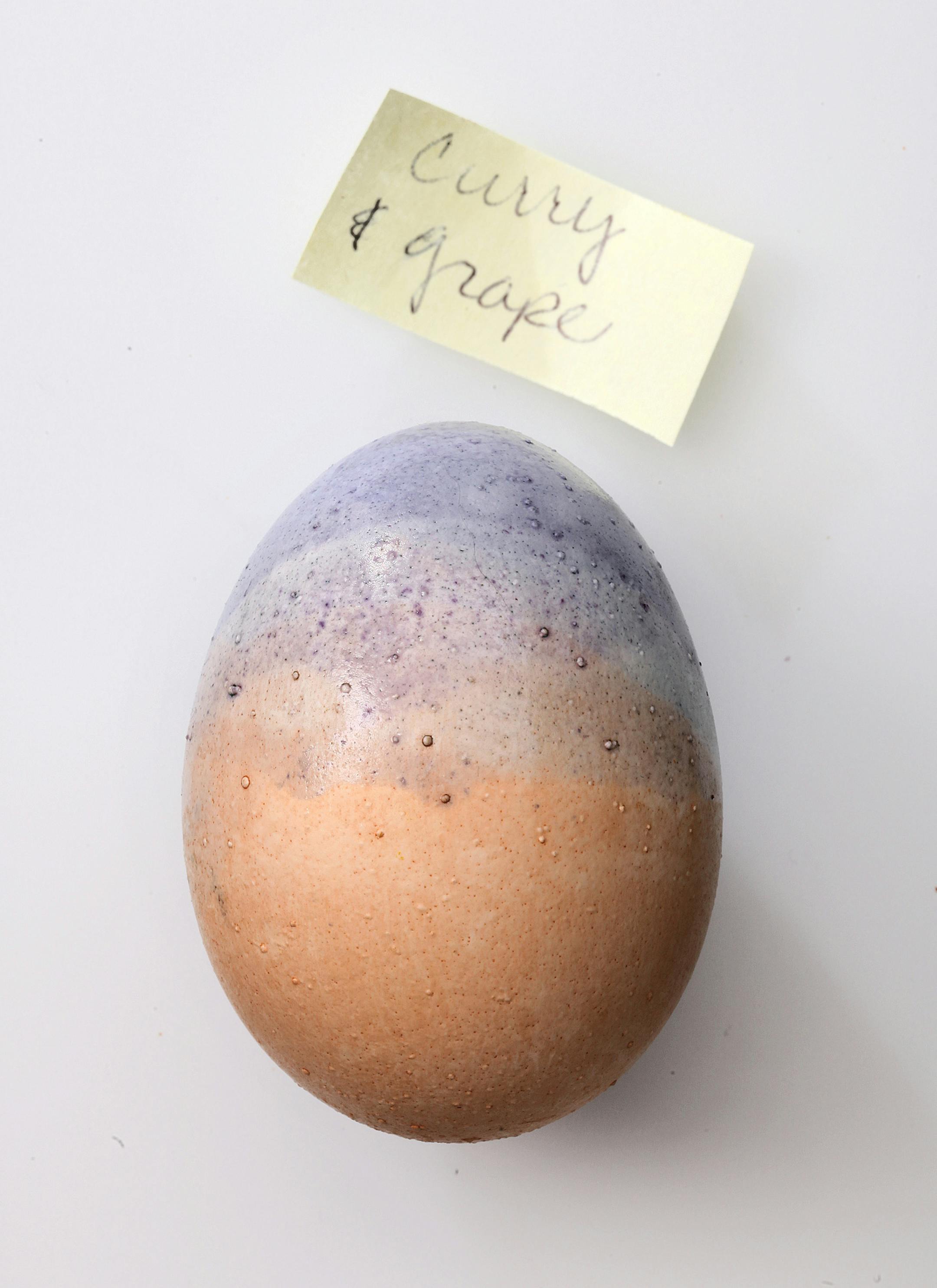 TOM WALLACE • twallace@startribune.com Assign#20011698A Slug: egg0401 Date: March 23, 2010 Easter illustration for taste. In this photo: Easter eggs take on natures palette. Dying eggs with beets, blueberries, tea and many others elements.