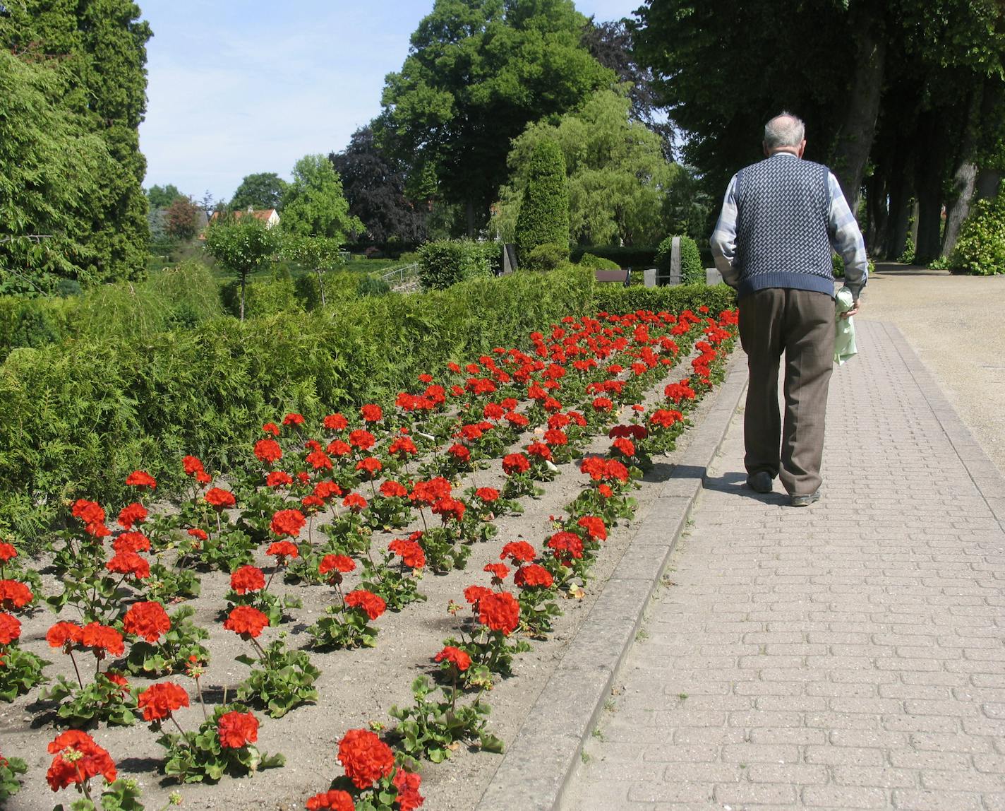 Old man at cemetery