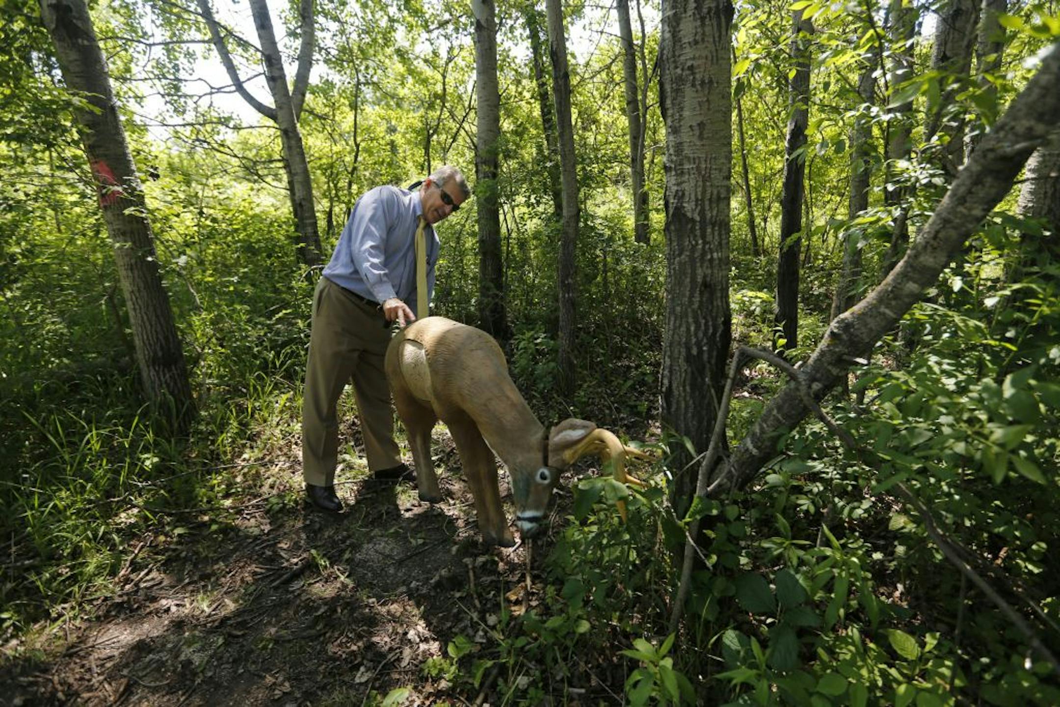 In Lakeville, Steve Michaud checks out a three dimensional target at the South Forty Archery Club which he founded. The club leases property owned by the city. He is Lakeville's first and only parks director, is retiring after building the city's park system to include 62 facilities, 100 miles of trails of bike trails and 1,400 acres. He started out as a temporary park supervisor in the summer of 1974.