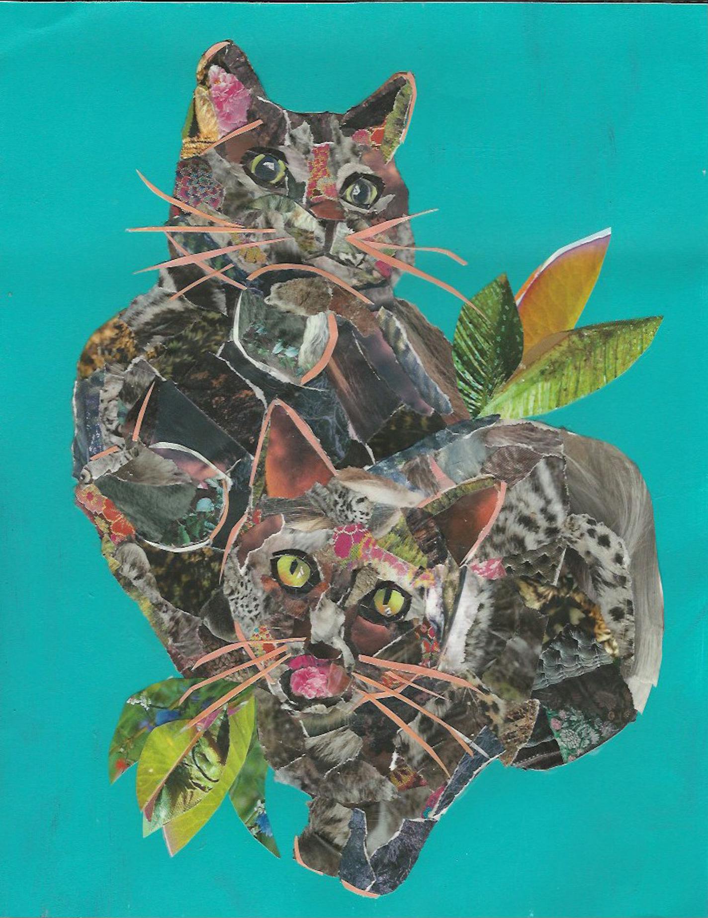 Pablo and Gonzo the cats. Art by Hannah Frick;