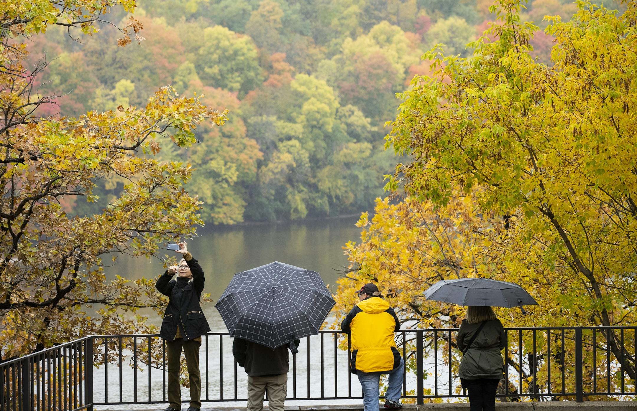 People took in the view of the Mississippi River and fall foliage from an overlook off Mississippi River Blvd. in St. Paul. From left is Jane Cremi, of Glenwood Springs, Co., Ron Cunningham of Shoreview, Mike Cremi of Glenwood Springs, Co. and Deb Cunningham of Shoreview.