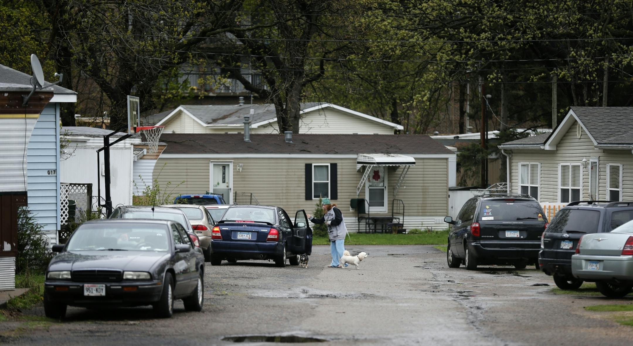 A rainy day at Lowry Grove.