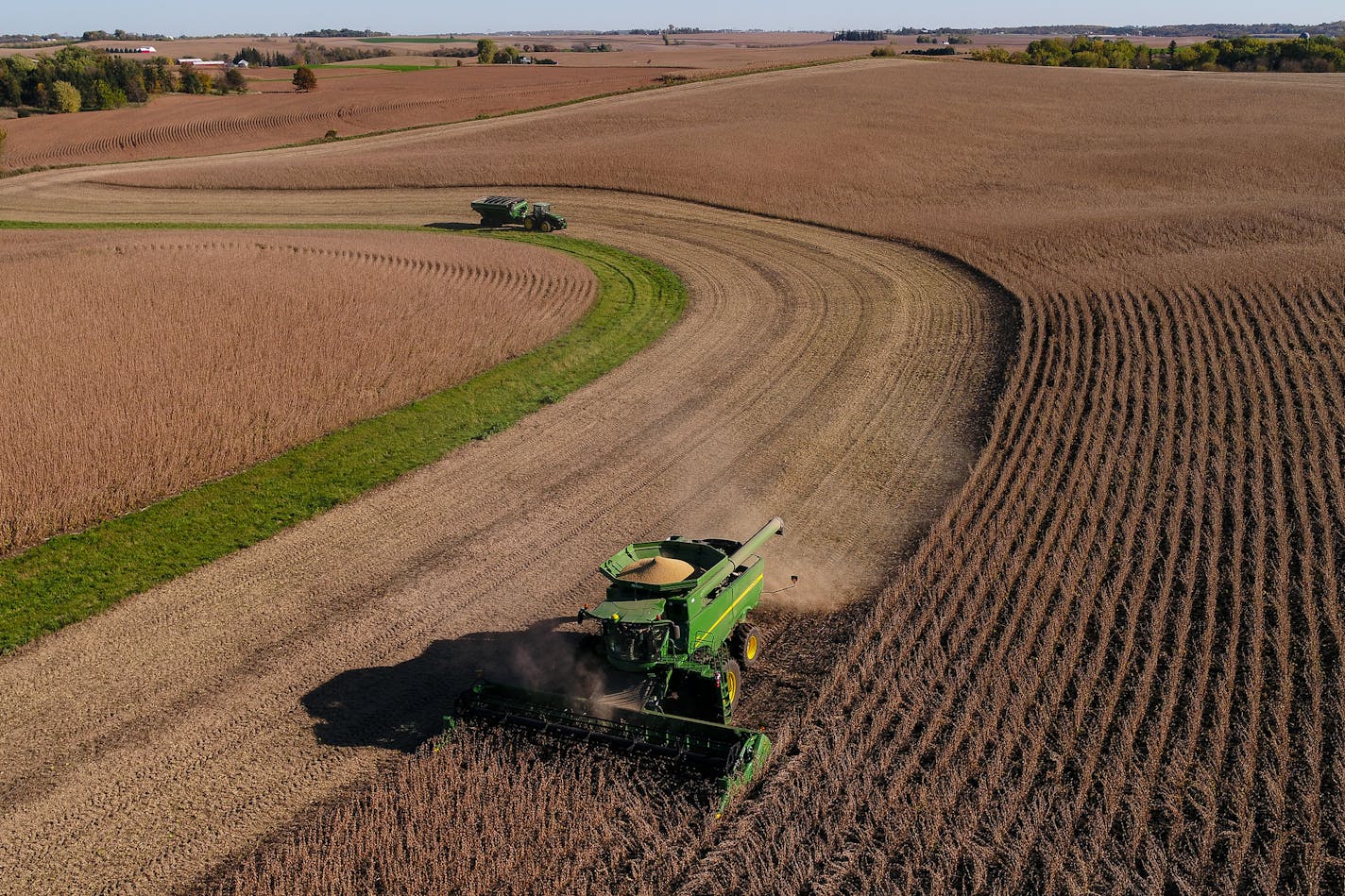 Steve Carlson, with Carlson Farms, harvest soy beans in his combine on Tuesday, Oct. 17, 2017 in Welch, Minn. ] AARON LAVINSKY &#xef; aaron.lavinsky@startribune.com