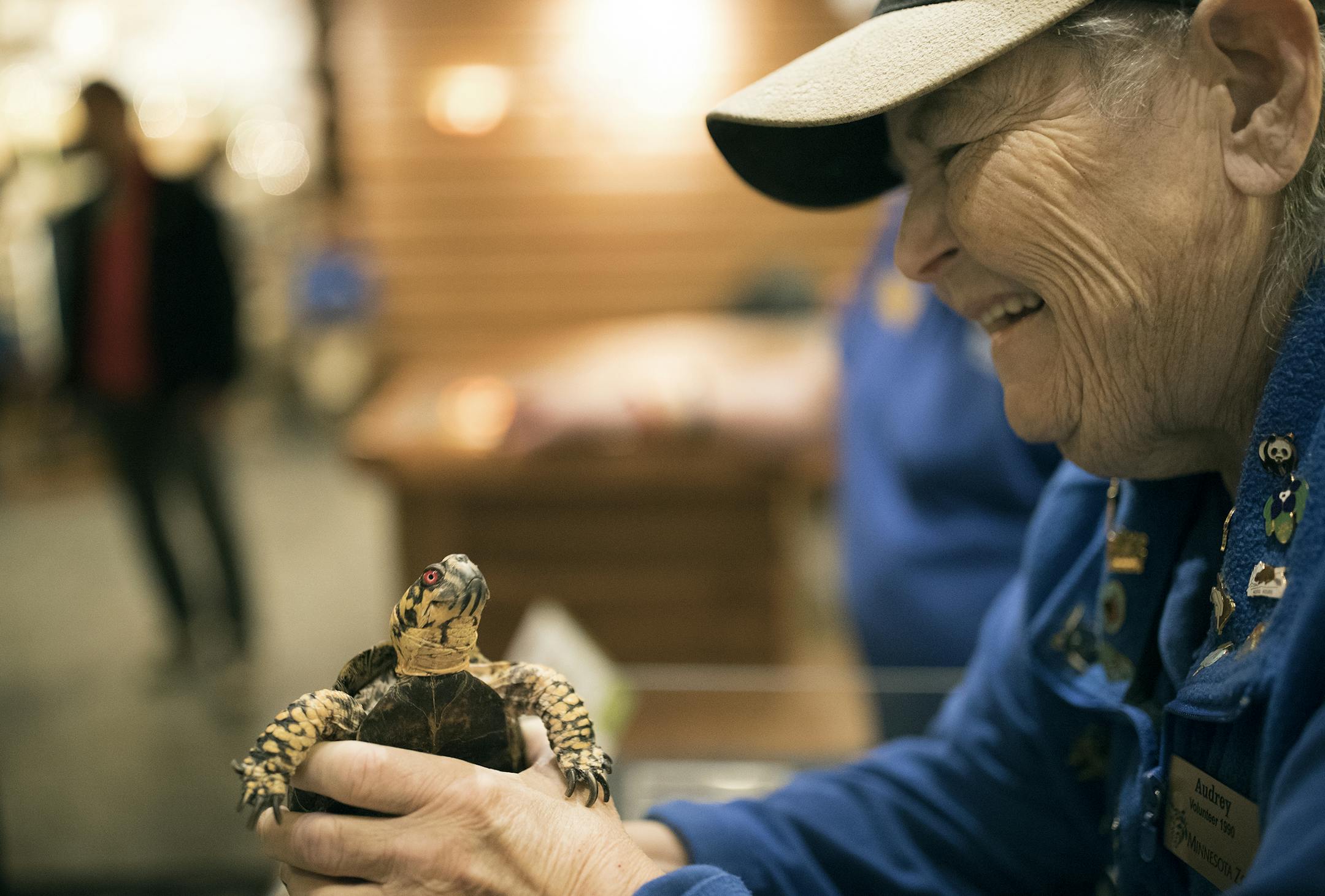 Volunteer Audrey Levi showed a group of kids a 37-year-old Eastern box turtle named Pokey at the Minnesota Zoo.