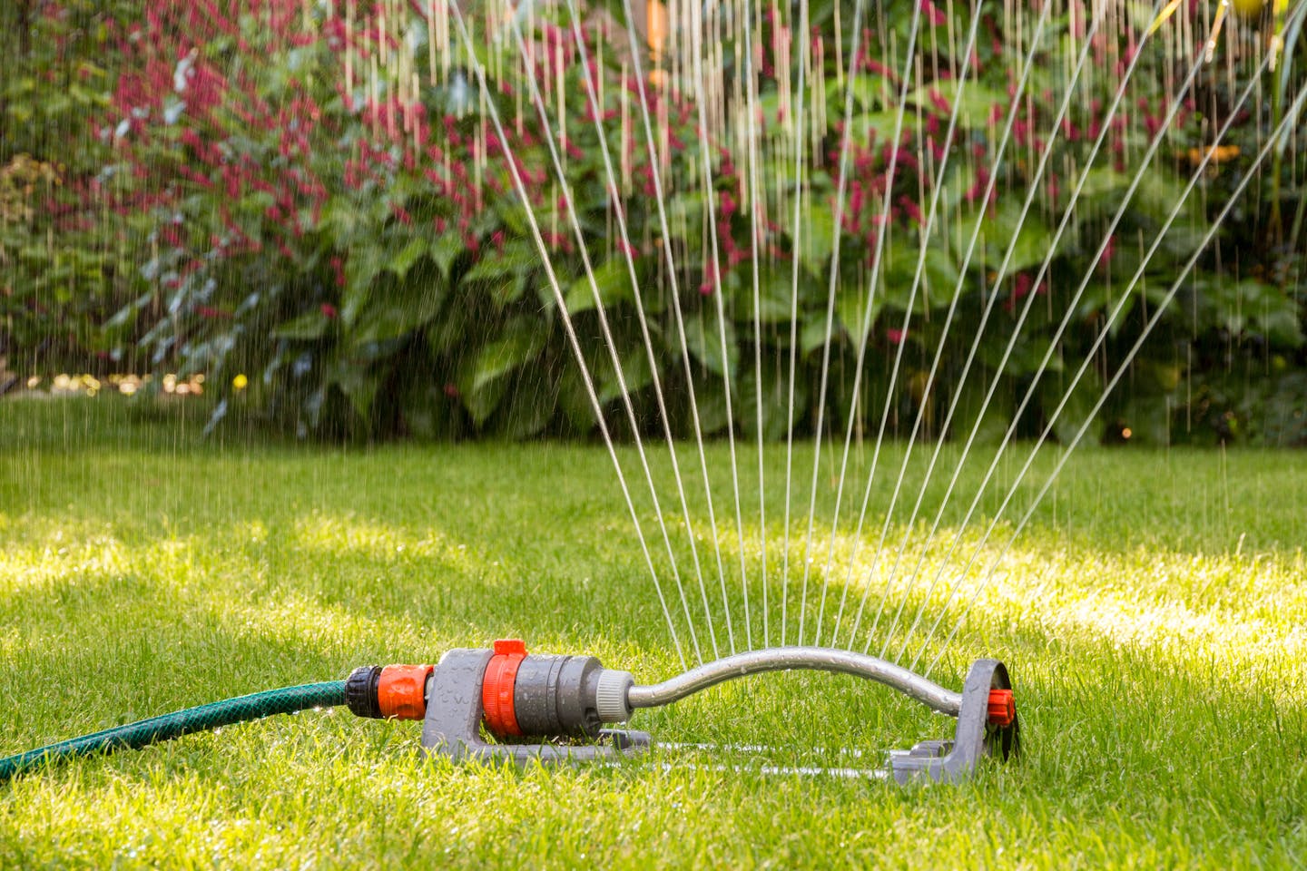 Mowing grass discount in heat wave