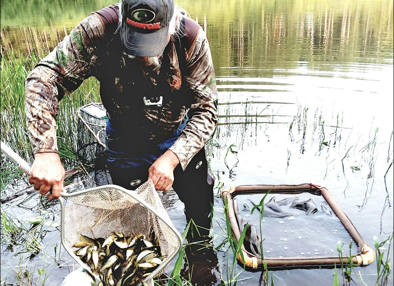 Minnesota's live bait trappers battle severe shortage, worry about what the  future holds
