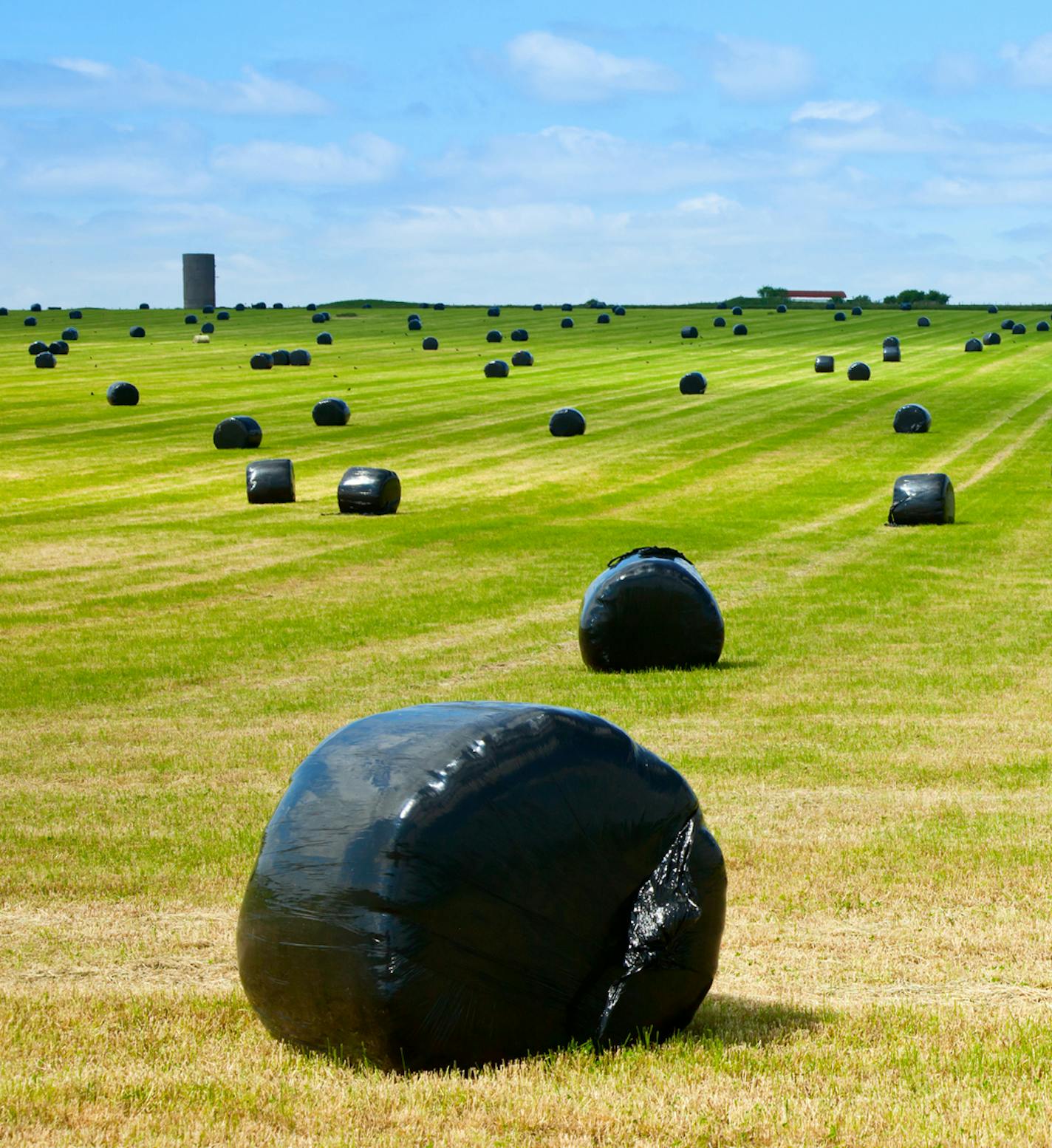 Wrappers from hay bails like these contribute to the 60 to 80 million pounds of plastic generated annually by Minnesota and Wisconsin farmers.