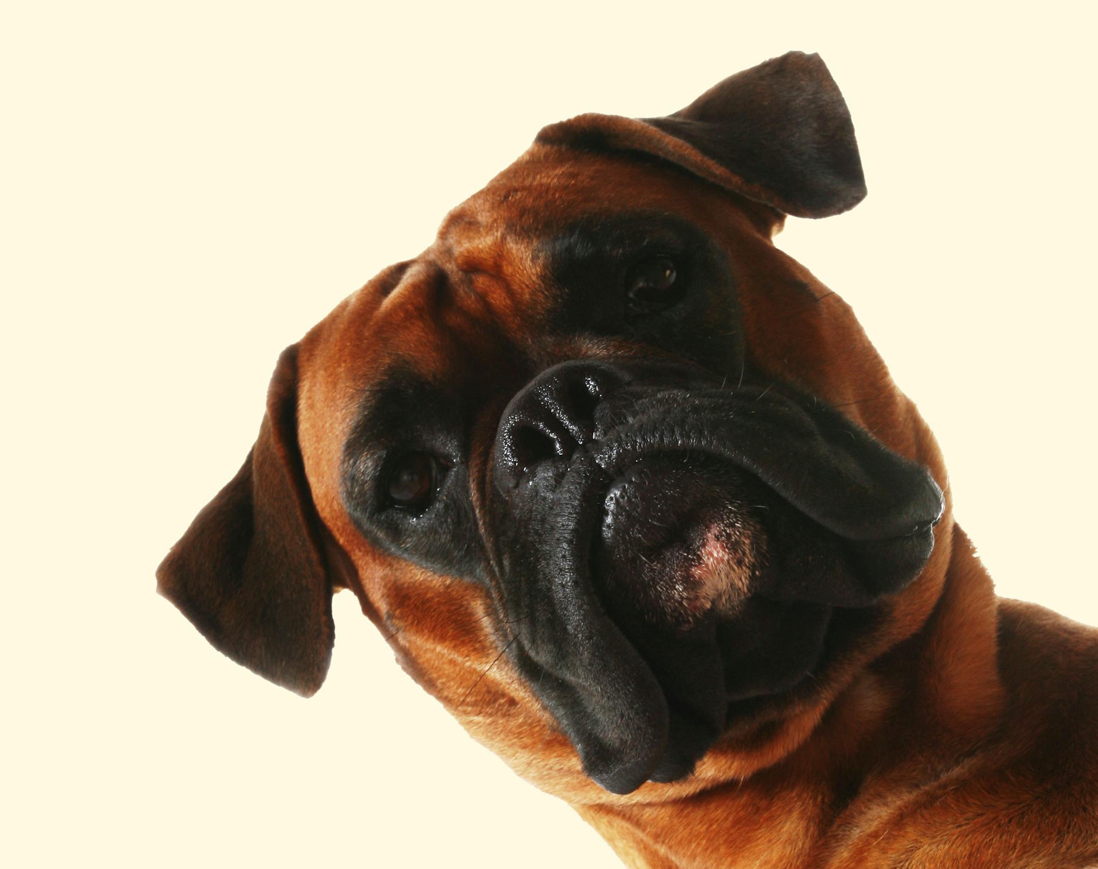 More pictures of this model - check my lightbox.