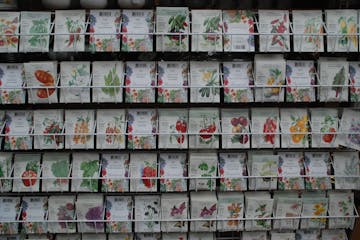 Check the back of seed packets for pertinent information so that you provide the proper growing conditions for the plantings to flourish.