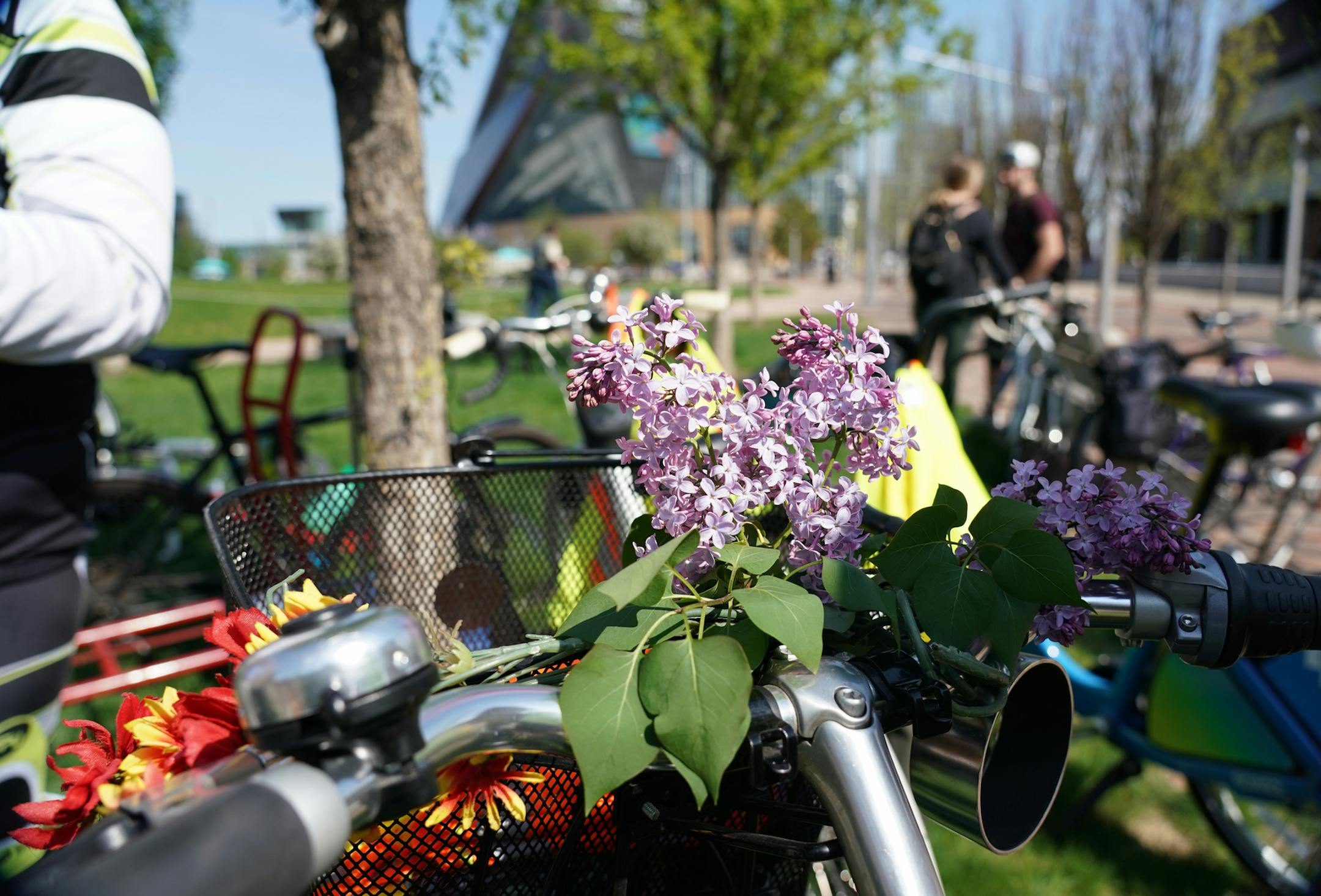 Fresh lilacs decorated the handlebars of a bicycle before two dozen riders gathered for a "Downtown to Crosstown" tour as part of bike to work day. ] Shari L. Gross • shari.gross@startribune.com On bike to work day, Minneapolis mayor Jacob Frey joined a group of over two dozen riders for a "Downtown to Crosstown" tour.