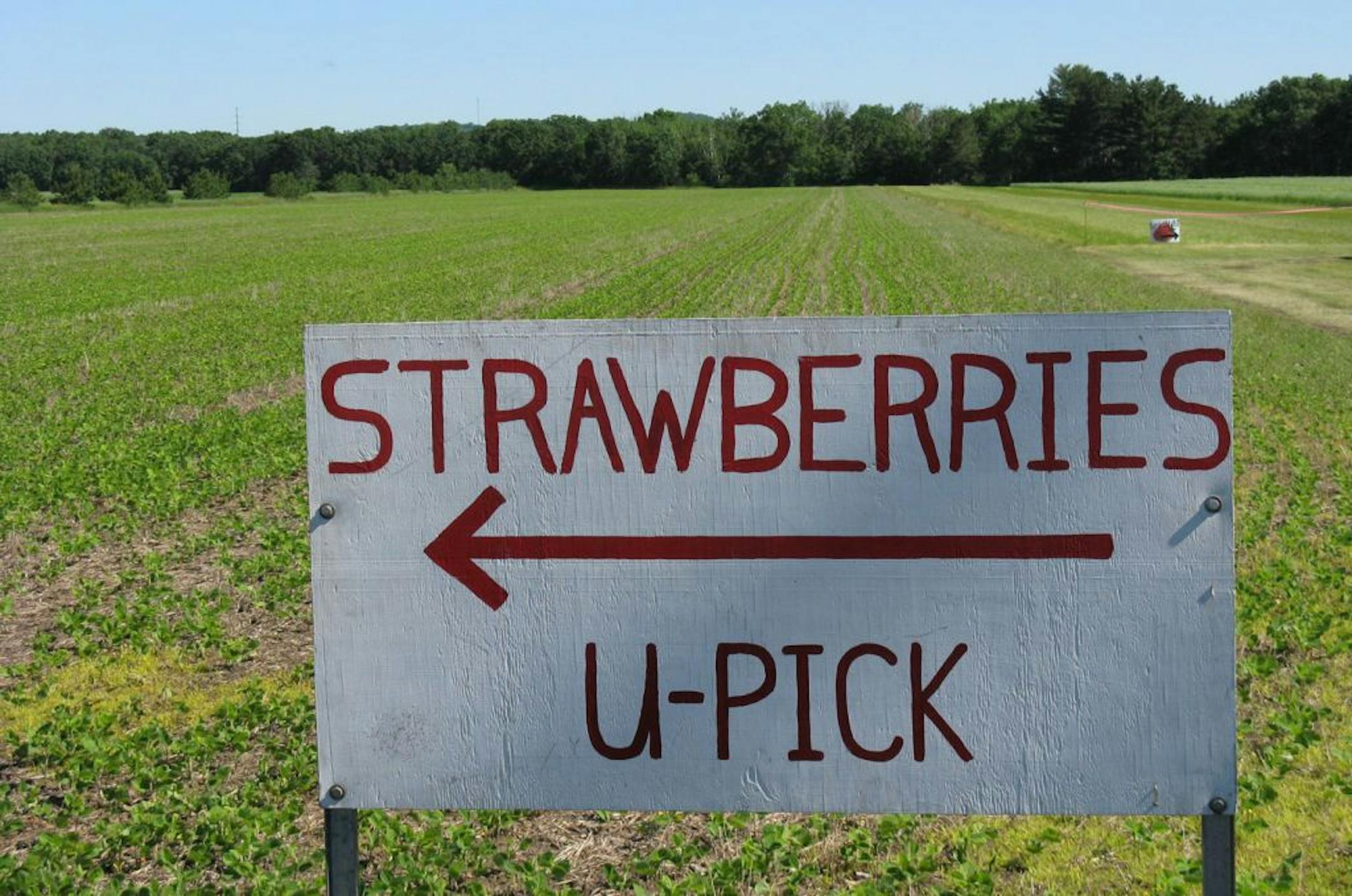 No mistake about where Sam's Produce is in Arkansaw, Wis.