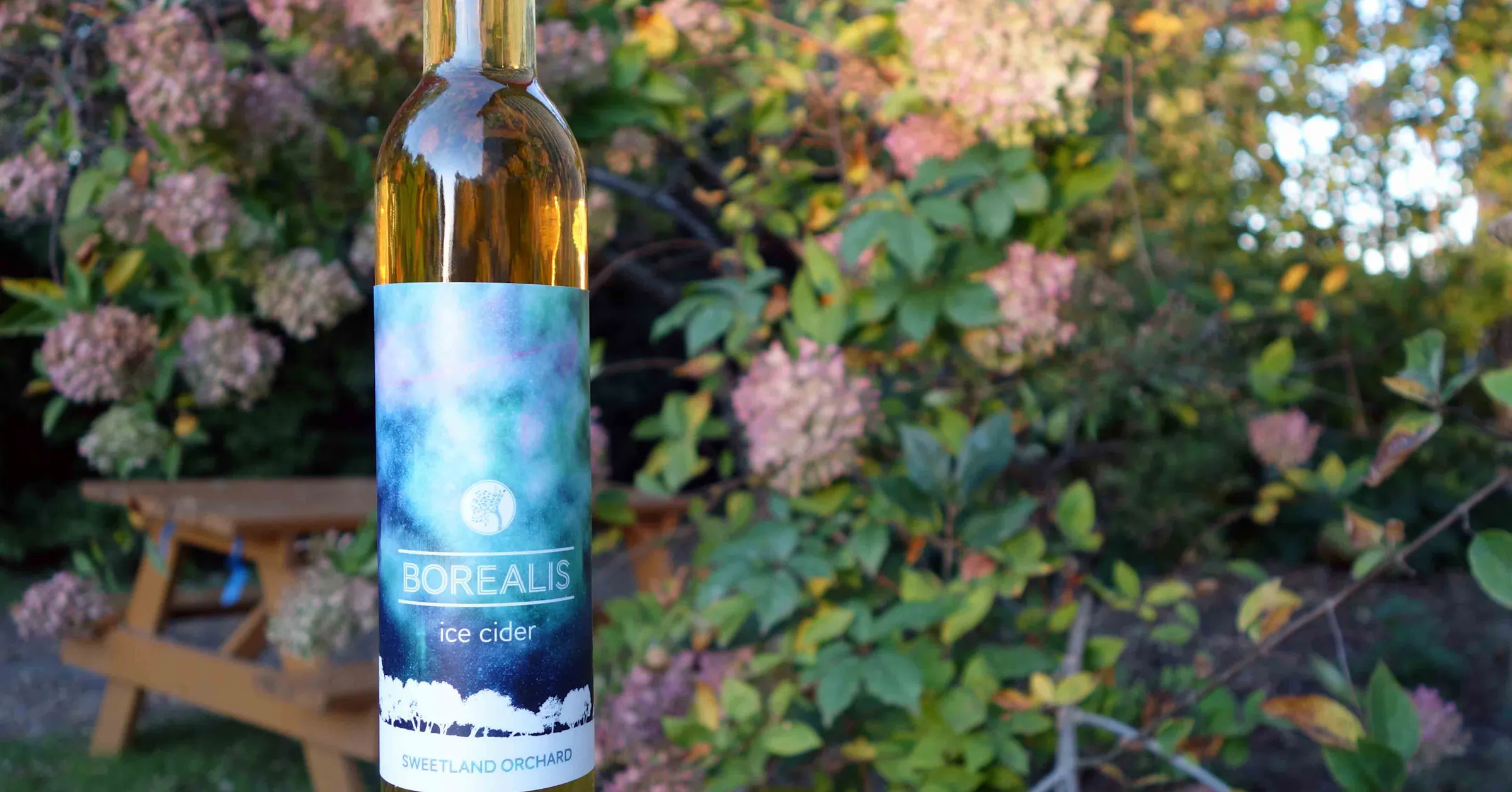 Cold Spring Cider 10 ciders to brighten your holiday season