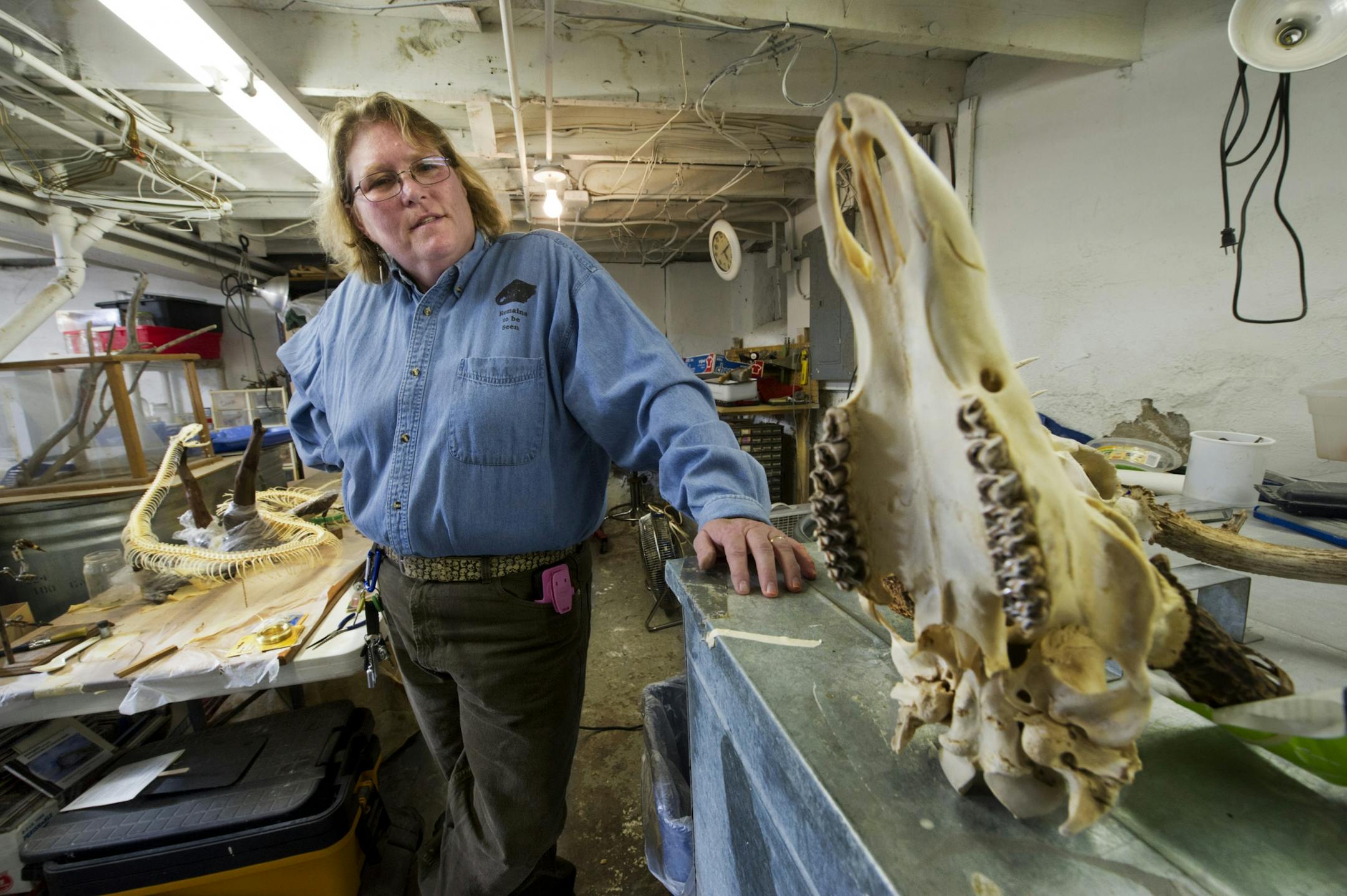 Storm Amacher in her basement bug factory. That's a python skeleton on the left, and a deer skull on the right.
