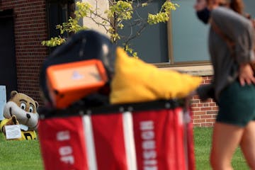 A Goldy Gopher mascot lawn sign greeted students moving in on the University of Minnesota campus Sept. 15 in Minneapolis.