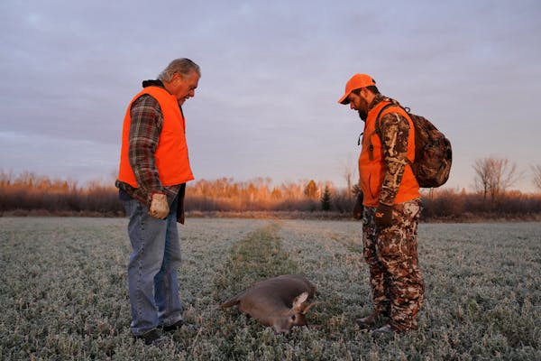 Anderson: Safety should be top priority when deer hunting