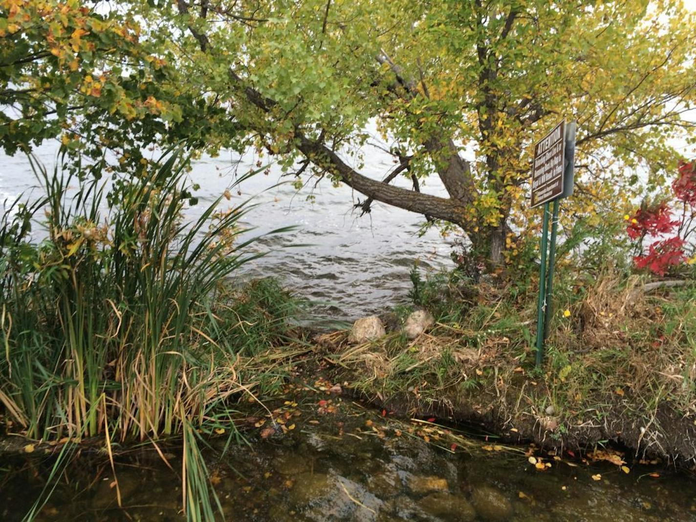 This is the spot where the Department of Natural Resources plans to dig a channel allowing about 8 inches of water from Hoffman Lake (foreground) to overflow into West McDonald Lake (background).