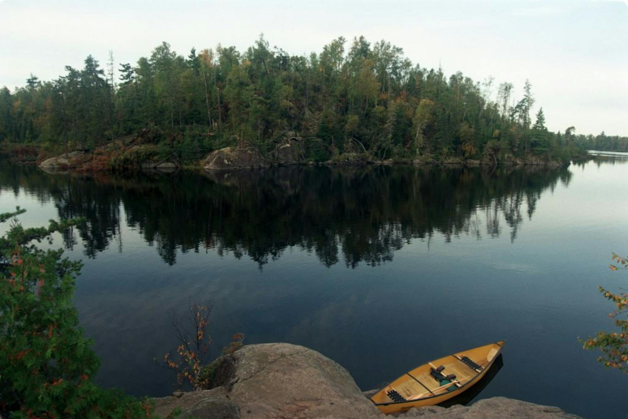 BWCA