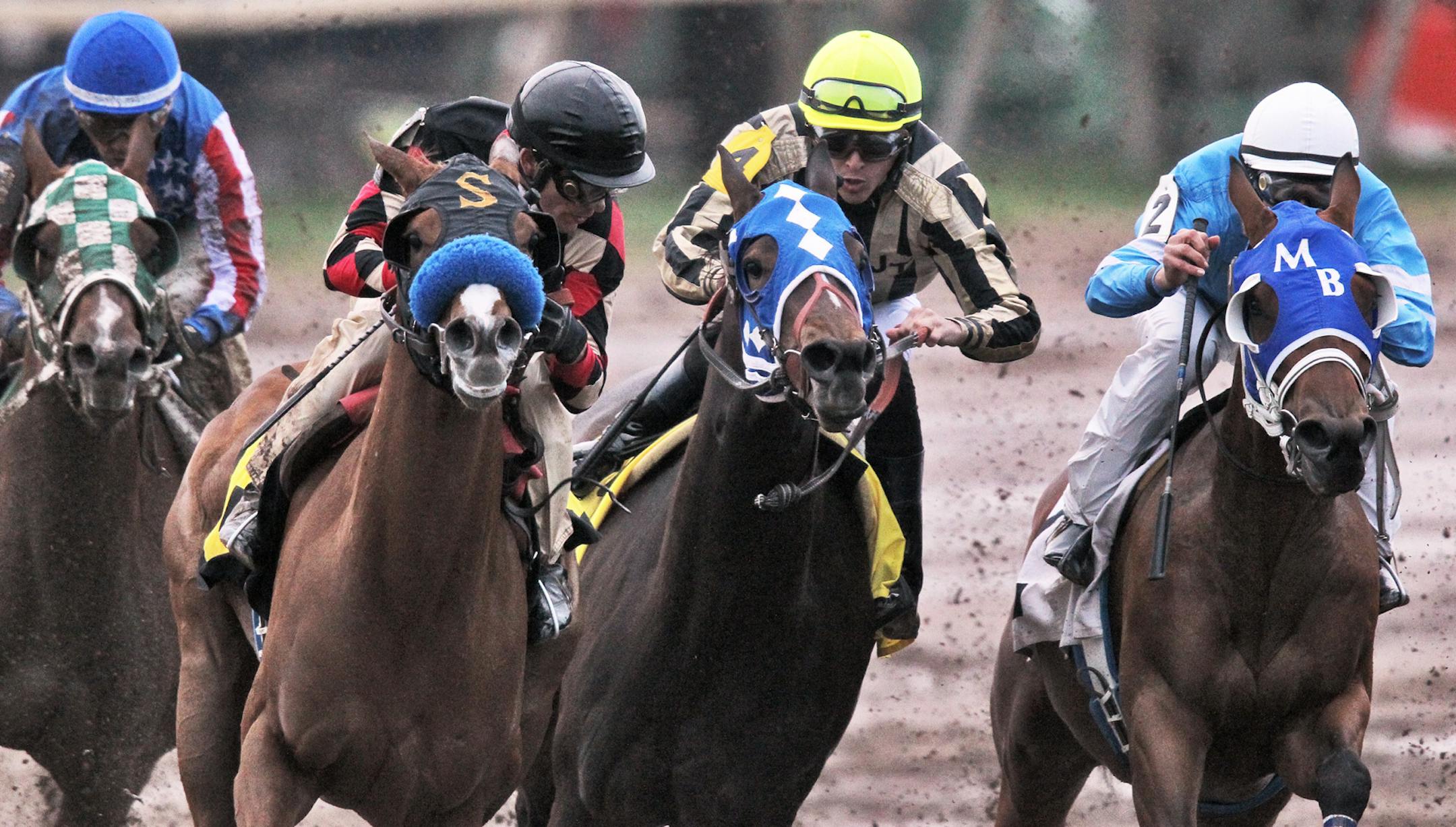 Jockey Ry Eikleberry, second from left, checked out the field as his horse, Yodelin’ Angel, rounded the final turn before the stretch run. He won the second race.